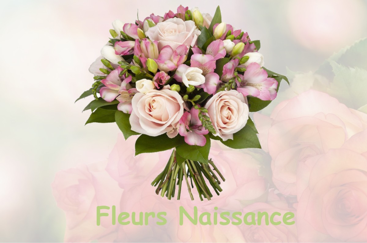 fleurs naissance HORSARRIEU