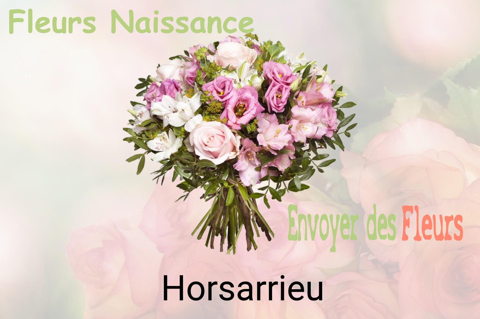 Bouquet de fleurs de naissance livré à Horsarrieu