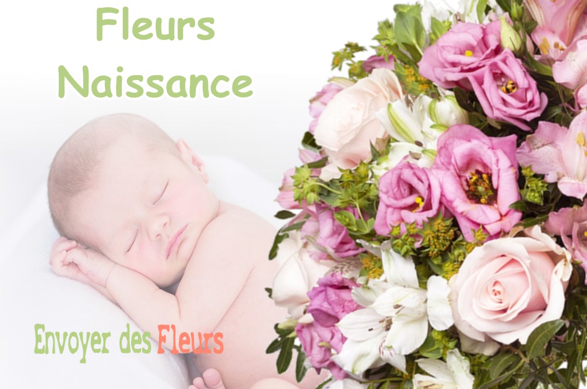 lIVRAISON FLEURS NAISSANCE à HORSARRIEU